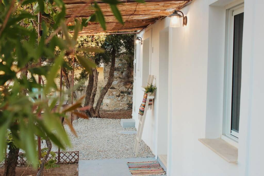 Myrtus Guest House Myrties Zewnętrze zdjęcie